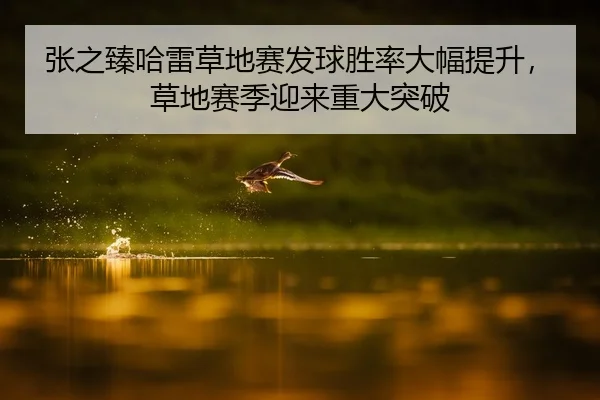 张之臻哈雷草地赛发球胜率大幅提升，草地赛季迎来重大突破