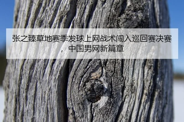 zhang-zhi-zhen-cao-di-sai-ji-fa-qiu-shang-wang-zhan-shu-chuang-ru-xun-hui-sai-jue-sai-zhong-guo-nan-wang-xin-pian-zhang-2-304.jpg
