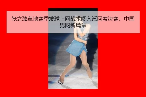 zhang-zhi-zhen-cao-di-sai-ji-fa-qiu-shang-wang-zhan-shu-chuang-ru-xun-hui-sai-jue-sai-zhong-guo-nan-wang-xin-pian-zhang-3-644.jpg