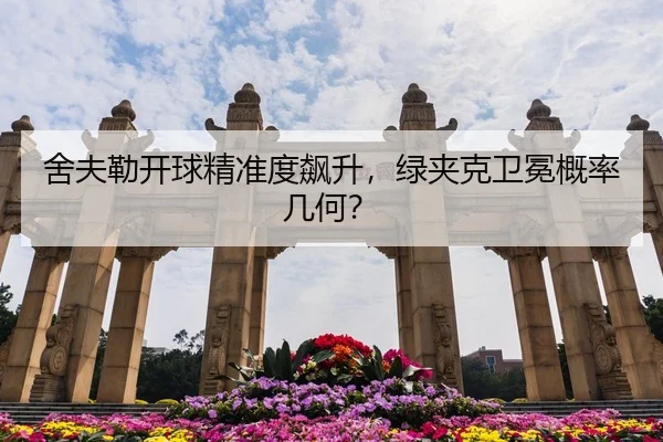 she-fu-lei-kai-qiu-jing-zhun-du-biao-sheng-lv-jia-ke-wei-mian-gai-lv-ji-he-3-967.jpg