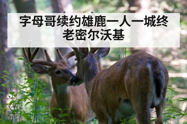 Milwaukee Bucks