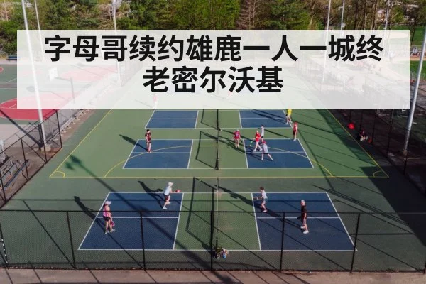 basketball court